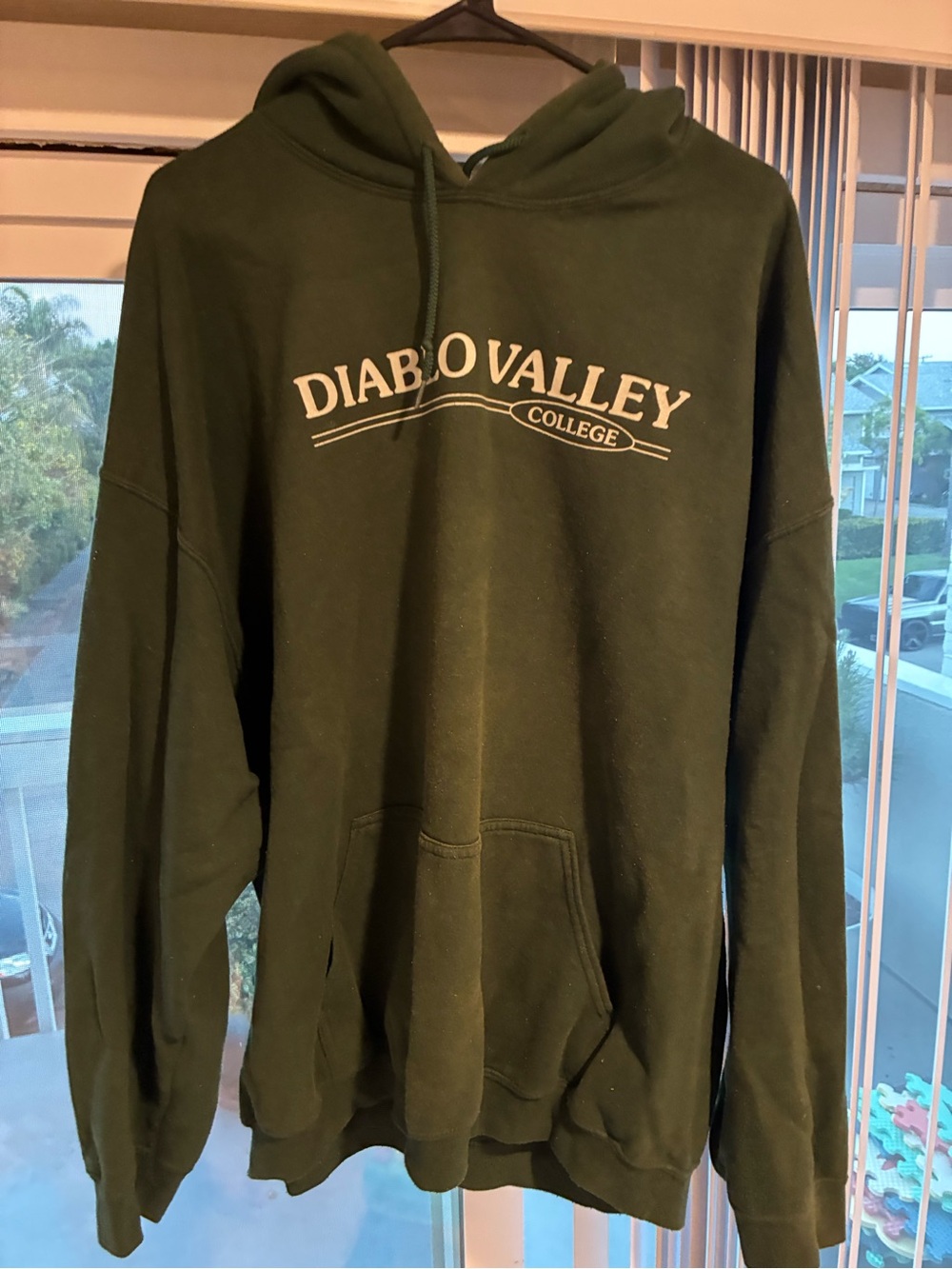 Diablo Valley College Green Hoodie